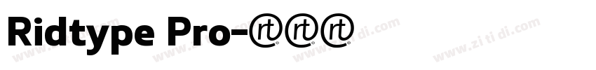 Ridtype Pro字体转换